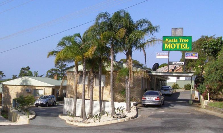 Koala Tree Motel Port Macquarie Exterior foto