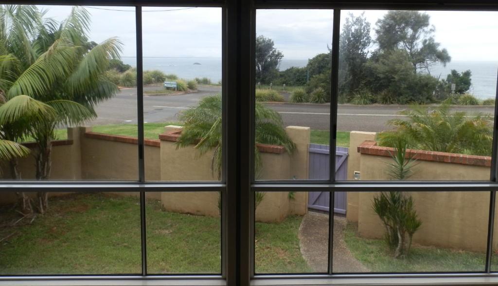 Koala Tree Motel Port Macquarie Habitación foto